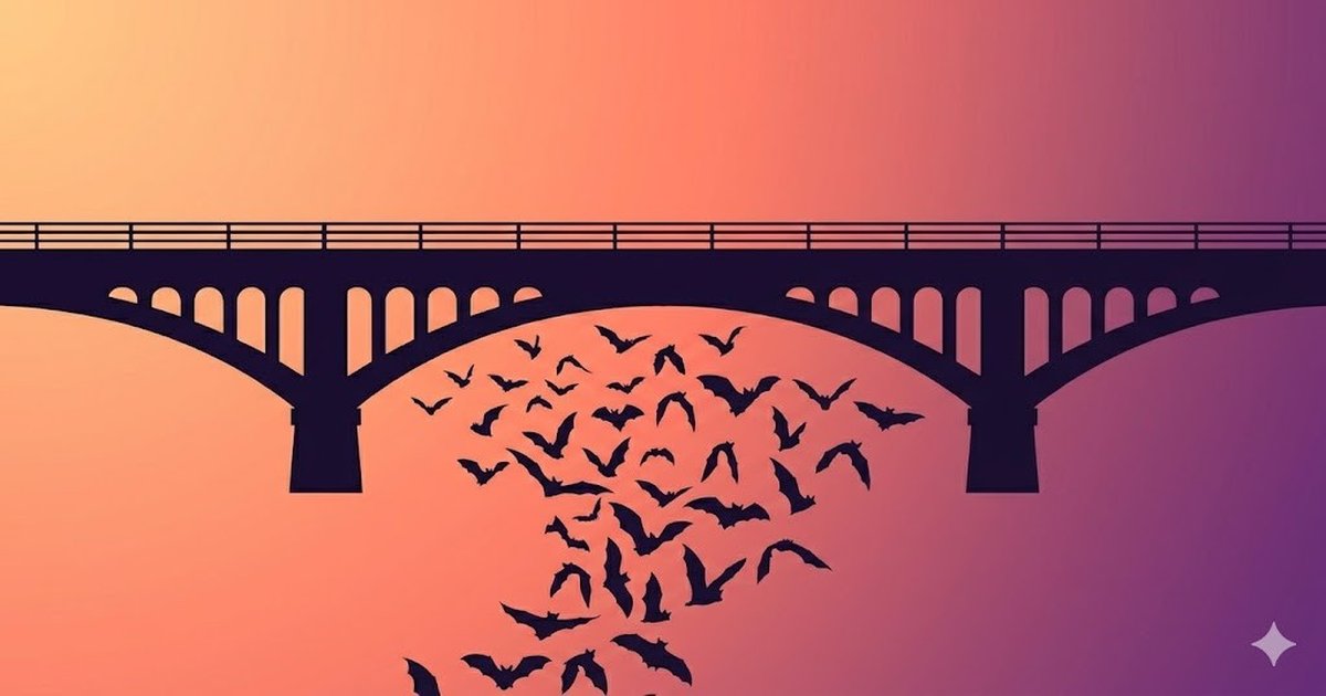 How to Budget for Living in Austin, Texas (2026 Guide)